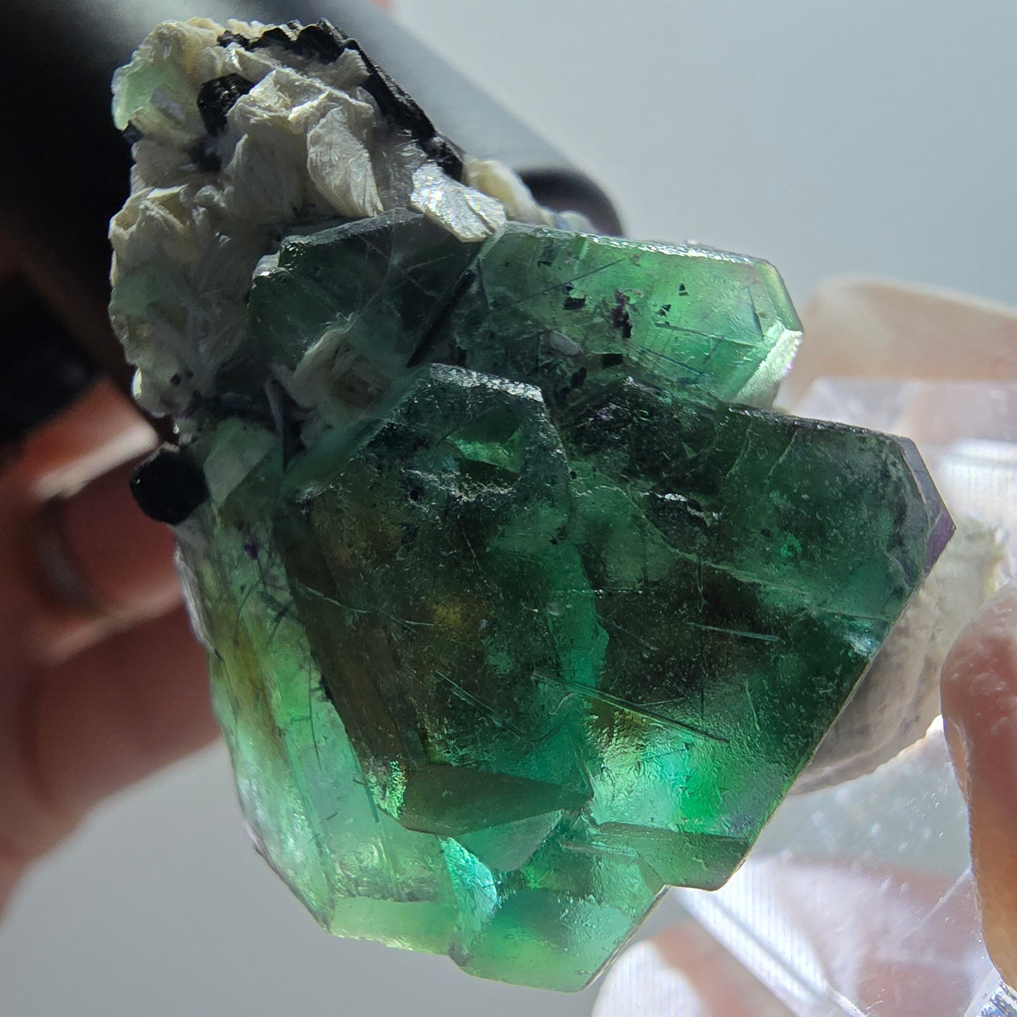 Phantom Fluorit, hexagonal, Schörl Turmalin, Muskovit Erongo, Namibia 38*29*16mm
