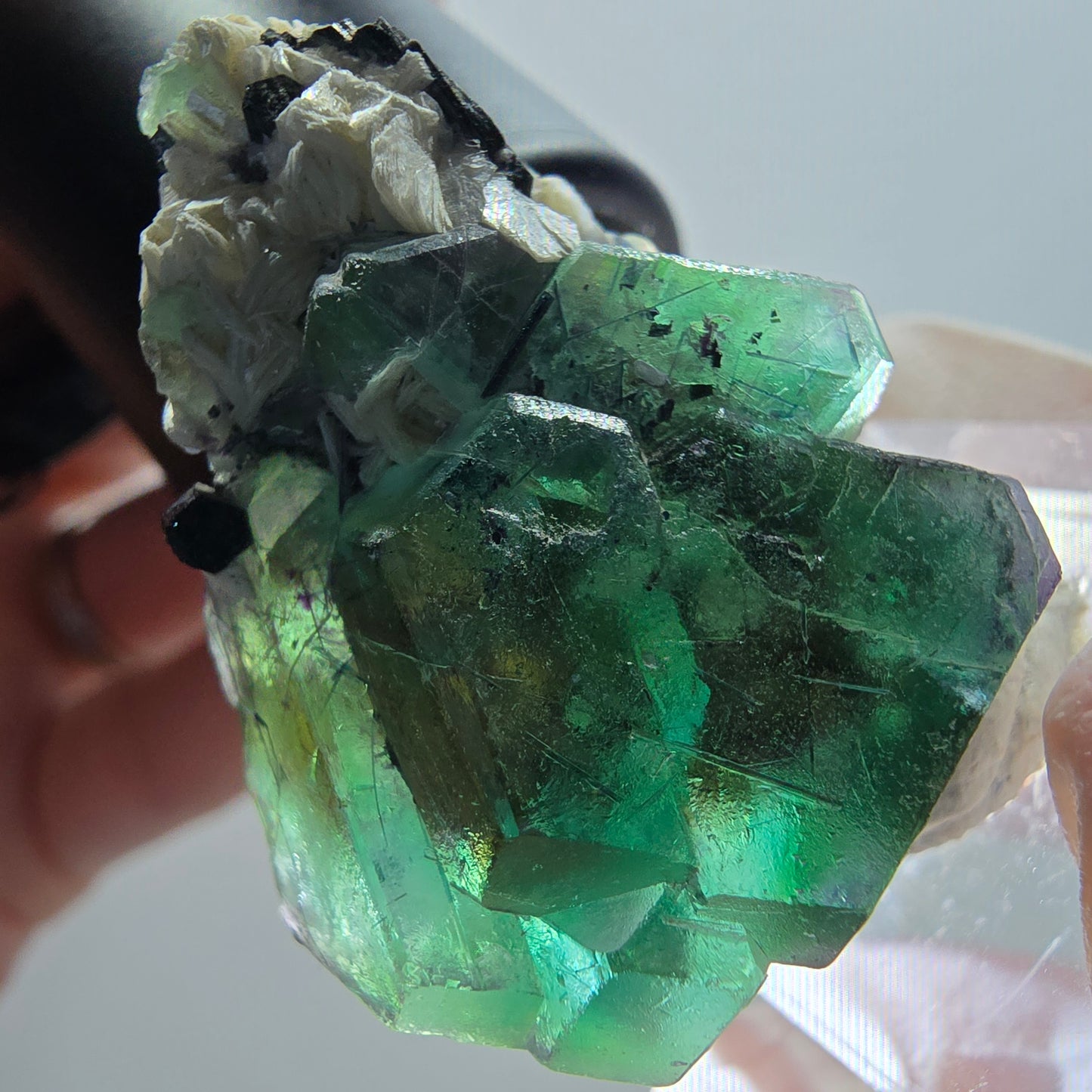 Phantom Fluorit, hexagonal, Schörl Turmalin, Muskovit Erongo, Namibia 38*29*16mm