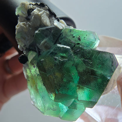 Phantom Fluorit, hexagonal, Schörl Turmalin, Muskovit Erongo, Namibia 38*29*16mm