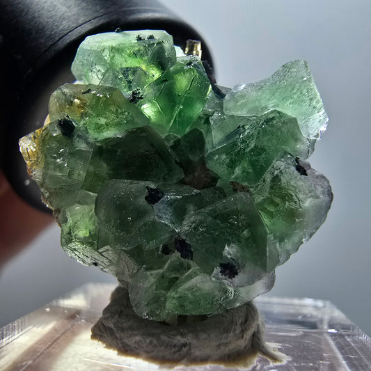 Phantom Fluorit, Schörl Turmalin, Muskovit Stufe Erongo, Namibia 26*22*14mm