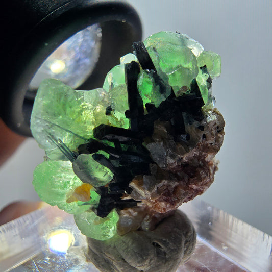 Phantom Fluorit, Schörl Turmalin, Muskovit Stufe Erongo, Namibia 26*22*14mm