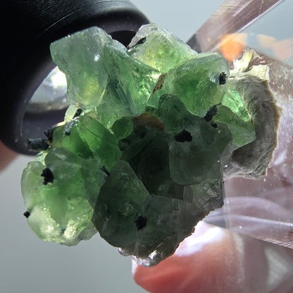 Phantom Fluorit, Schörl Turmalin, Muskovit Stufe Erongo, Namibia 26*22*14mm