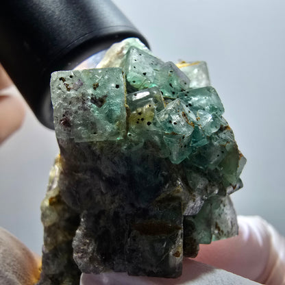 Seltene Phantom Fluorit Würfel Stufe, grün parkettiert Erongo Namibia 55*37*30mm