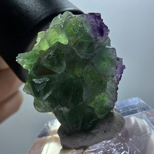 Phantom Fluorit, zonal, Muskovit Stufe Erongo, Namibia 27*24*11mm