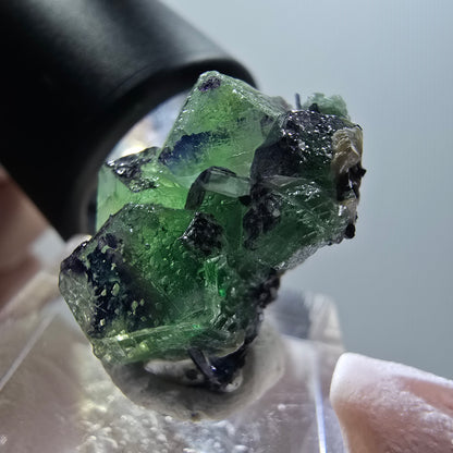 Phantom Fluorit, zonal, Schörl Turmalin, Muskovit Erongo, Namibia 23*17*15mm