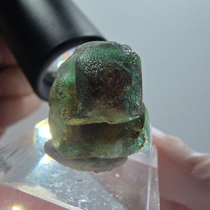 Klare Phantom Fluorit Würfel Stufe, grün braun Erongo, Namibia 24*20*20mm