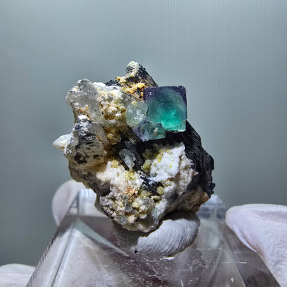 Phantom Fluorit, zonal, Schörl Turmalin, Muskovit Erongo, Namibia 28*19*14mm