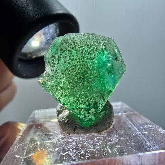 Phantom Fluorit, hexagonal, Muskovit Stufe Erongo, Namibia 22*18*12mm