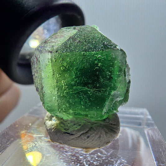 Phantom Fluorit Würfel, Schörl Turmalin, Muskovit Erongo, Namibia 19*17*17mm