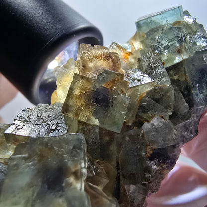 Seltene Phantom Fluorit Würfel parkettiert grün lila Okorusu, Namibia 67*34*25mm