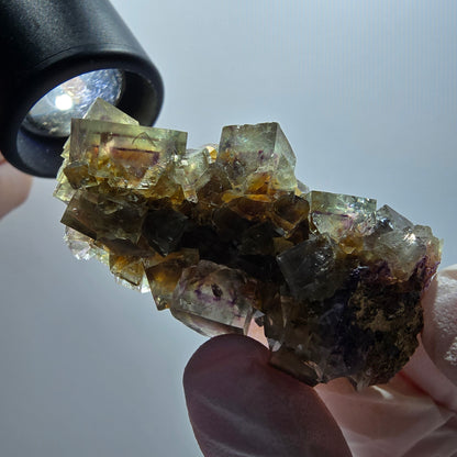 Seltene Phantom Fluorit Würfel, grün lila Erongo, Namibia 55*26*26mm