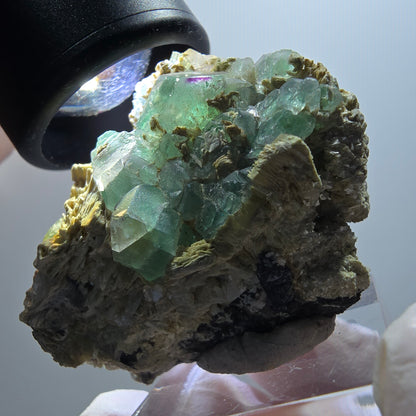 Phantom Fluorit, Schörl Turmalin, Muskovit, Rauchquarz Erongo Namibia 43*33*25mm