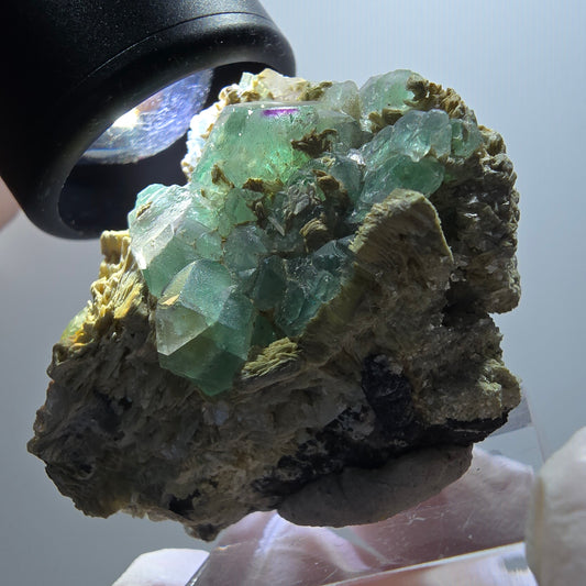 Phantom Fluorit, Schörl Turmalin, Muskovit, Rauchquarz Erongo Namibia 43*33*25mm