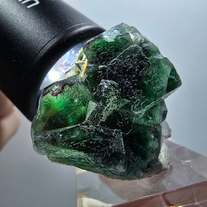 Seltene Phantom Fluorit, zonal, Muskovit Stufe Erongo, Namibia 34*31*25mm