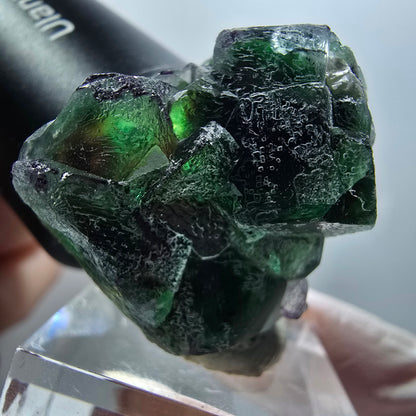 Seltene Phantom Fluorit, zonal, Muskovit Stufe Erongo, Namibia 34*31*25mm