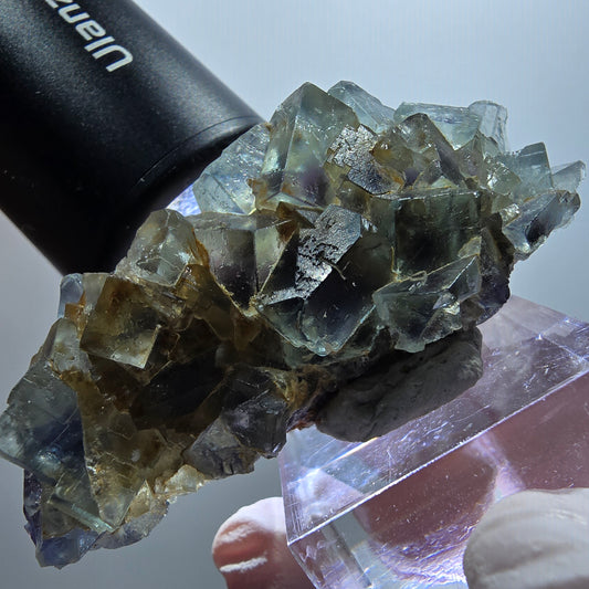 Seltene Phantom Fluorit Würfel parkettiert grün lila Okorusu, Namibia 58*27*17mm