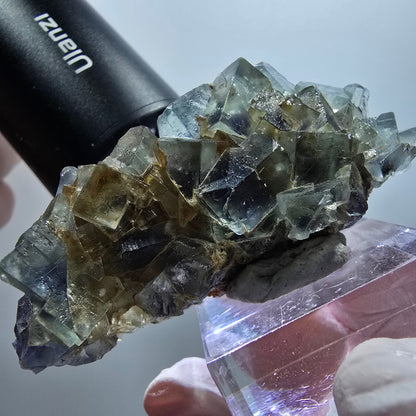 Seltene Phantom Fluorit Würfel parkettiert grün lila Okorusu, Namibia 58*27*17mm