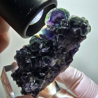 Seltene Phantom Fluorit Würfel, grün lila Okorusu, Namibia 49*35*22mm