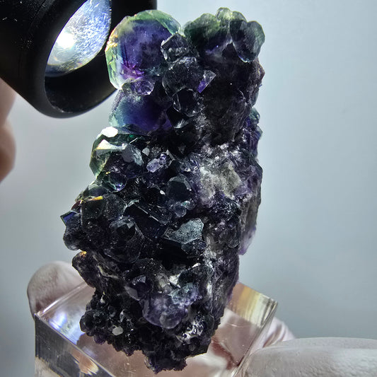 Seltene Phantom Fluorit Würfel, grün lila Okorusu, Namibia 49*35*22mm