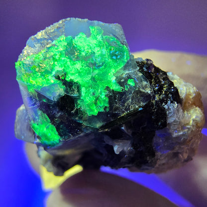 Bunte Phantom Fluorit, Schörl Turmalin, Muskovit, Hyalit Erongo, Namibia 37*28*20mm