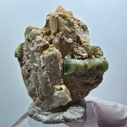 Seltene Turmalin, Verdelith auf Quarz Matrix Stufe Kaokoveld, Namibia 46*41*21mm