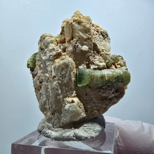 Seltene Turmalin, Verdelith auf Quarz Matrix Stufe Kaokoveld, Namibia 46*41*21mm