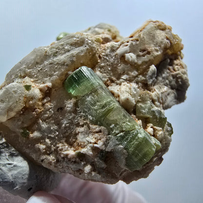 Seltene Turmalin, Verdelith auf Quarz Matrix Stufe Kaokoveld, Namibia 46*41*21mm