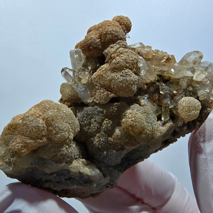 Seltene Rauchquarz DT, Prehnit Stufe Goboboseb, Namibia 66*49*35mm