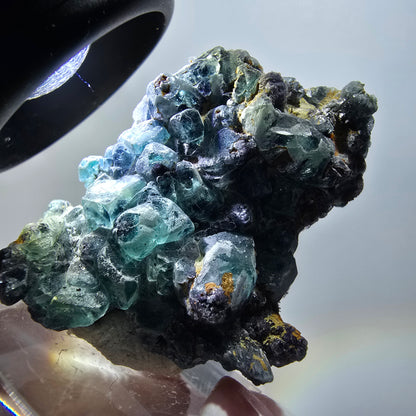 Spécimen rare de fluorite fantôme et de tourmaline schorl, Erongo, Namibie, 42*31*23 mm 