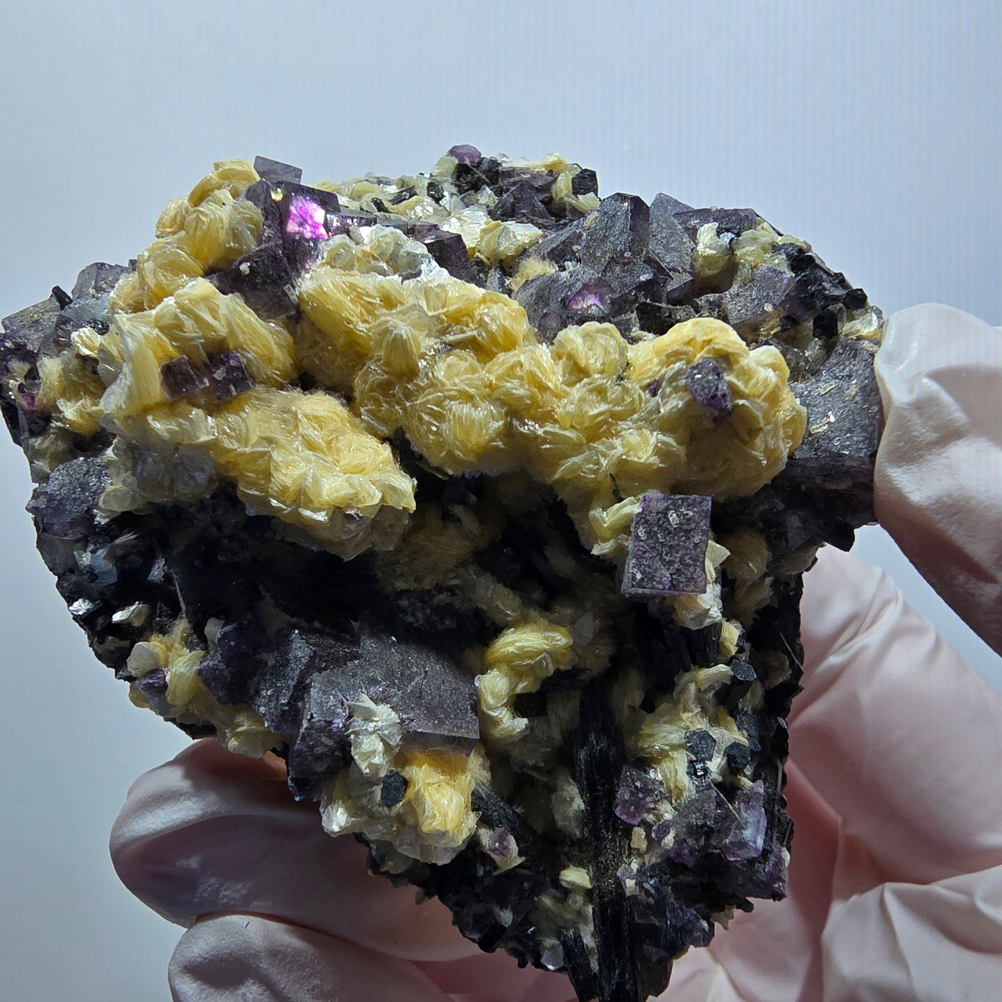 Spécimen de fluorite fantôme colorée, tourmaline schorl et muscovite d'Erongo, Namibie, 62 x 54 x 31 mm 