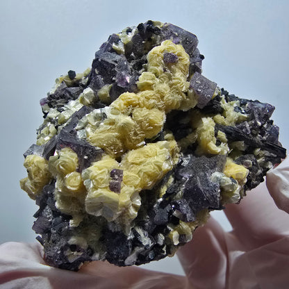 Spécimen de fluorite fantôme colorée, tourmaline schorl et muscovite d'Erongo, Namibie, 62 x 54 x 31 mm 