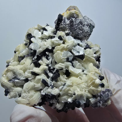 Phantom Fluorit, hexagonal, Schörl Turmalin, Muskovit Erongo, Namibia 62*59*35mm