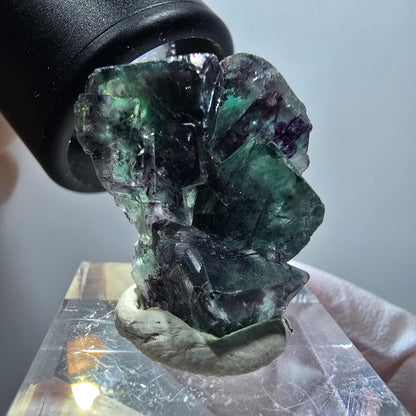 Very clear phantom fluorite cube specimen, green-purple Okorusu, Namibia 28*21*13mm #11773 