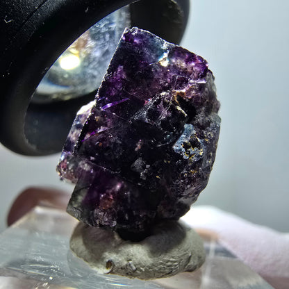 Phantom Fluorite Cube Step, tessellated purple green Okorusu, Namibia 21*20*14mm #11776 