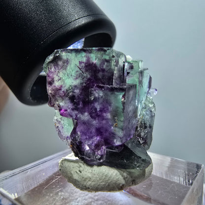 Spécimen cubique de fluorite fantôme très clair, vert-violet, Okorusu, Namibie, 22*20*13 mm, n° 11777 