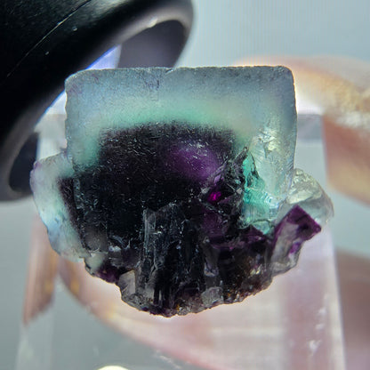 Rare spécimen de cube de fluorite fantôme, vert-violet, Okorusu, Namibie, 21*15*14 mm #11779 