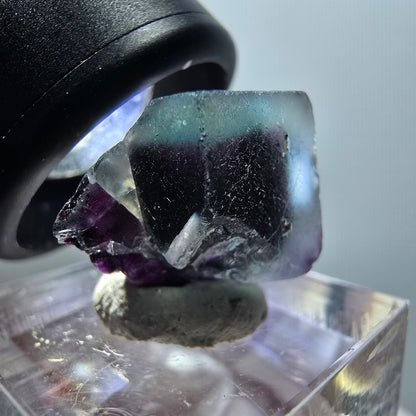 Rare spécimen de cube de fluorite fantôme, vert-violet, Okorusu, Namibie, 21*15*14 mm #11779 