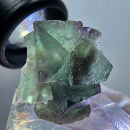 Very clear phantom fluorite cube specimen, green-purple Okorusu, Namibia 22*20*14mm #11780 