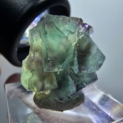Very clear phantom fluorite cube specimen, green-purple Okorusu, Namibia 22*20*14mm #11780 