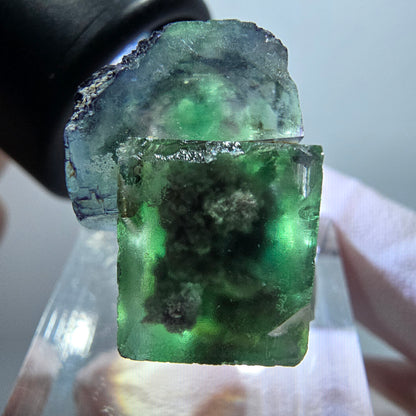 Very clear phantom fluorite cube specimen, green-purple Okorusu, Namibia 25*17*16mm #11784 