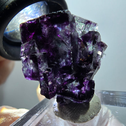 Seltene Phantom Fluorit Würfel Stufe, grün lila Okorusu, Namibia 25*20*13mm #11787