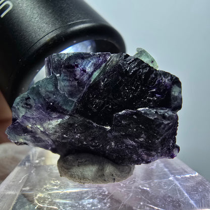 Rare spécimen de cube de fluorite fantôme, vert-violet, Okorusu, Namibie, 27*18*15mm #11788 