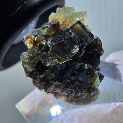Rare spécimen de cube de fluorite fantôme, vert-violet, Okorusu, Namibie, 20*17*11 mm #11792 