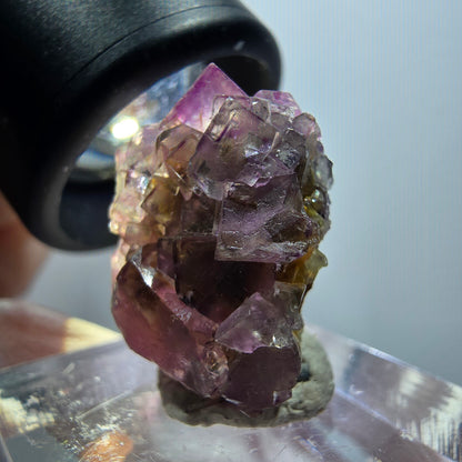 Rare spécimen de cube de fluorite fantôme, vert-violet, Okorusu, Namibie, 22*21*15 mm #11793 