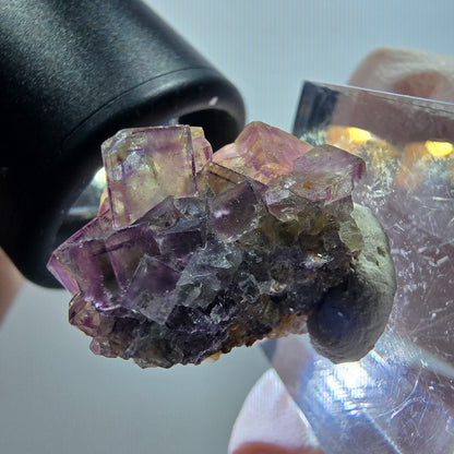 Rare spécimen de cube de fluorite fantôme, vert-violet, Okorusu, Namibie, 22*21*15 mm #11793 