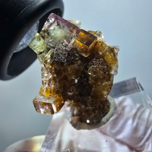 Sehr klare Phantom Fluorit Würfel Stufe, grün lila Okorusu, Namibia 26*25*17mm #11795