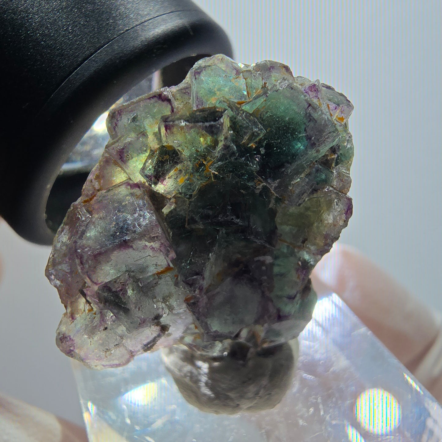 Rare spécimen de cube de fluorite fantôme, vert-violet, Okorusu, Namibie, 29*22*12 mm #11796 