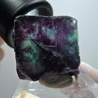Rare spécimen de cube de fluorite fantôme, vert-violet, Okorusu, Namibie, 39*28*20 mm #11797 