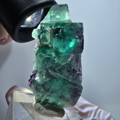 Spécimen cubique de fluorite fantôme transparente, vert-violet Okorusu, Namibie 46*27*15mm #11800 