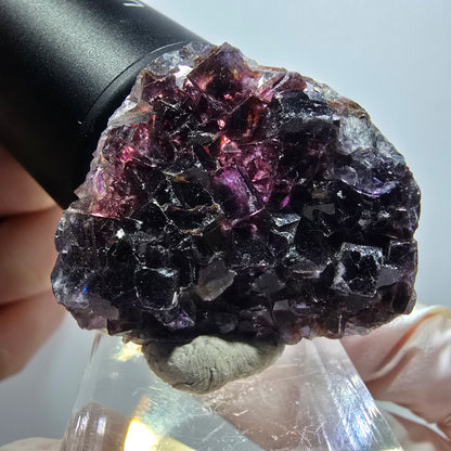 Rare spécimen de cube de fluorite fantôme, vert-violet, Okorusu, Namibie, 39*33*10 mm #11802 